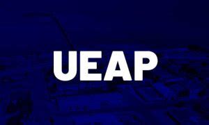 UEAP Arquivos Blog Gran Cursos Online Concursos Públicos Abertos 2024