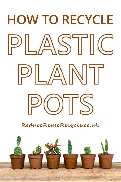 How Do I Recycle Plastic Flower Pots At Dean Tower Blog