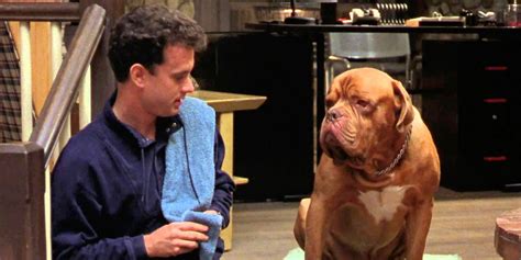 Disney’s Turner & Hooch TV Reboot Gains McG as Director