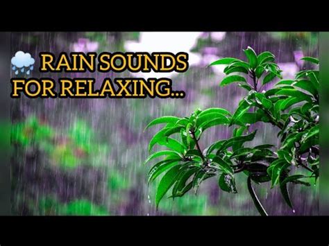 Minutes Of Rain Sounds For Relaxing And Sleep Rain Ambience