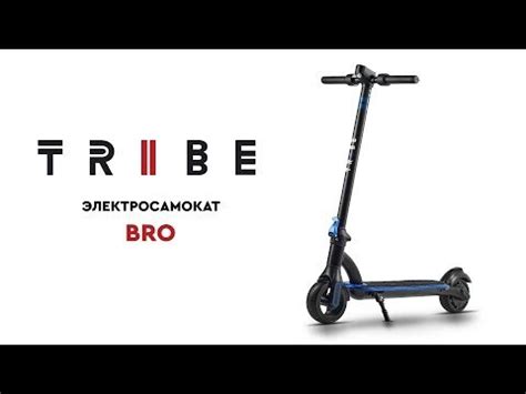 Электросамокат TRIBE Bro Black - купить по выгодной цене в интернет ...