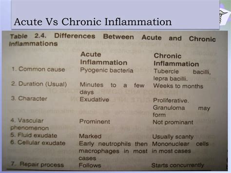 Chronic Inflammation Of The Placenta Definition C6B