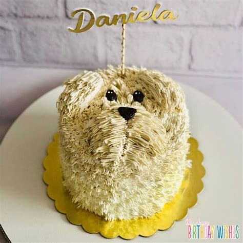 Birthday Cake For Dogs Ideas & Recipes (With Pictures) - We Are The Pet