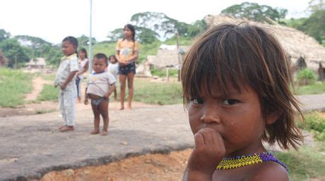 Comunidades Ind Genas Exigen Celeridad En La Demarcaci N De Tierras