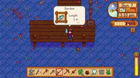 Sardine in Stardew Valley: How to catch & get it? (Location included) - DigiStatement