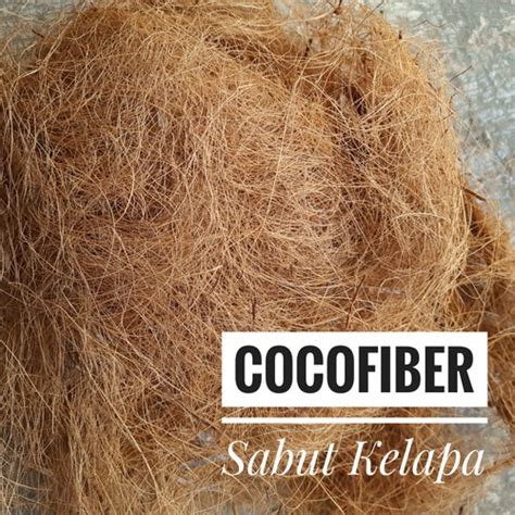 Jual Coco Fiber 400gr Ijuk Kelapa Serabut Sabut Kelapa 0 4kg Ijuk