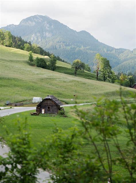 Vila Planinka The Slovenian Eco Resort For A Soothing Alpine Retreat