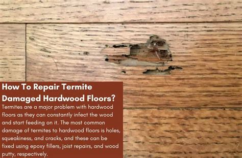 How To Repair Termite Damaged Hardwood Floors