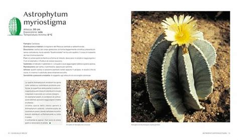 Il Grande Libro Dei Cactus E Delle Piante Grasse Carme Arana Farr