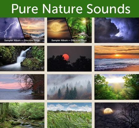 Lang Elliott Music Of Nature Nature Photography Nature Nature Sounds