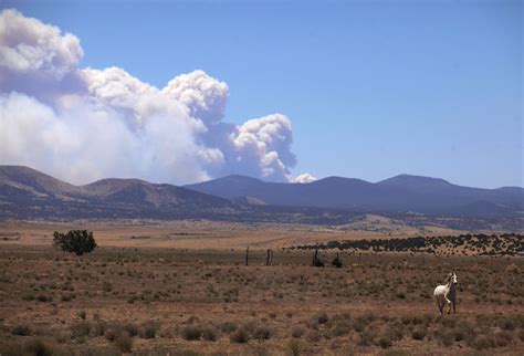 Arizona Wildfires Map, Update as Hundreds of People Forced to Evacuate ...