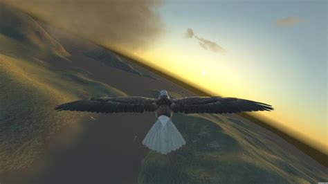 Aquila Bird Flight Simulator on Steam