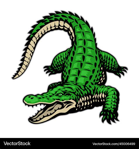 Hand drawn of crocodile angry Royalty Free Vector Image