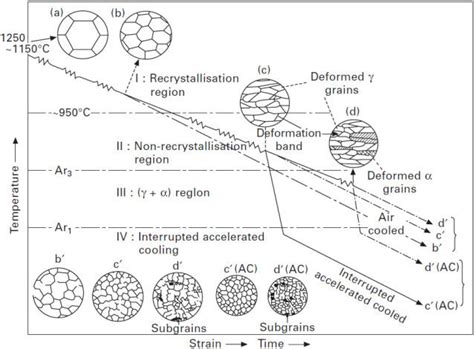 Schematic Diagram Comparing The Changes In Relative Austenite Grain