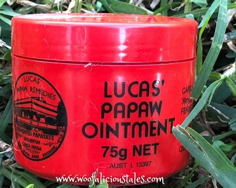 5 Reasons Your Dog Loves Lucas' Paw Paw Ointment! - Woofalicious Tales