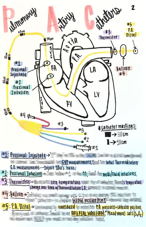 PA Catheter DIGITAL DOWNLOAD - Etsy