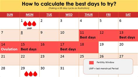 How to calculate the best days for trying to conceive?