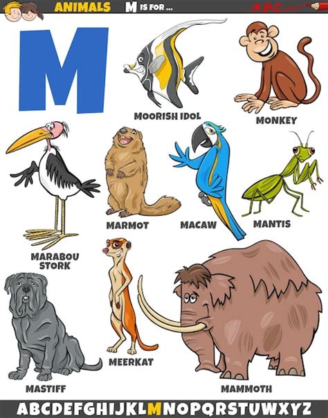 Animal Com A Letra M - Ilustración de dibujos animados de personajes animales para la letra M ...