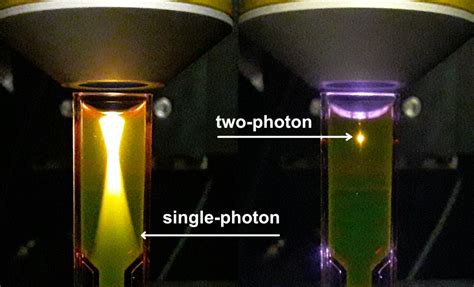 What Is Two-Photon Microscopy? – Bliq Photonics