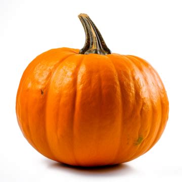 Real Life Photography PNG Transparent Images Free Download | Vector ...