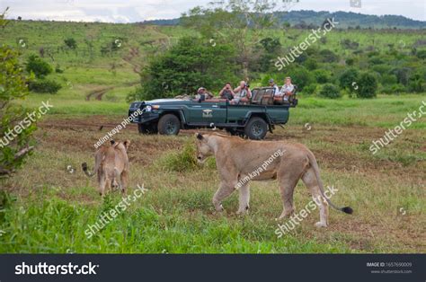 245 Durban Safari Images, Stock Photos & Vectors | Shutterstock