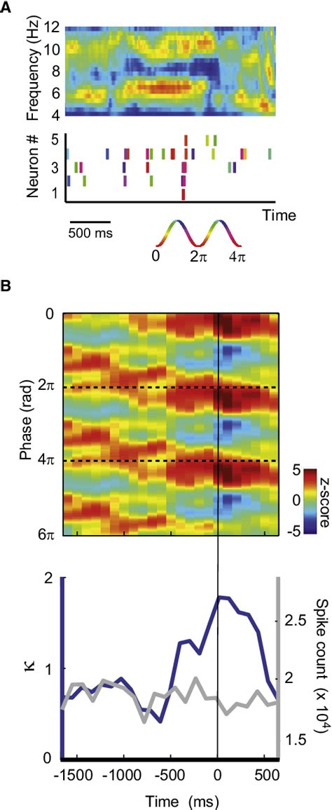 Figure From Coherent Theta Oscillations And Reorganization Of Spike