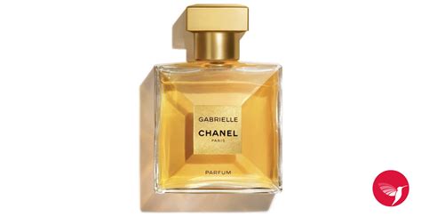 Top Imagen Chanel Coco Gabrielle Perfume Abzlocal Mx