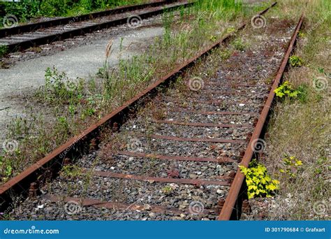 Overgrown Old Unused Rusted Railroad Tracks Resting On Wooden Railroad