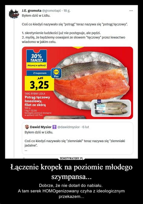 Czenie Kropek Na Poziomie M Odego Szympansa Demotywatory Pl