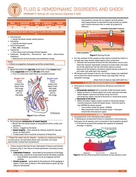 Fluid Hemodynamic Disorders And Shock S T Med Of