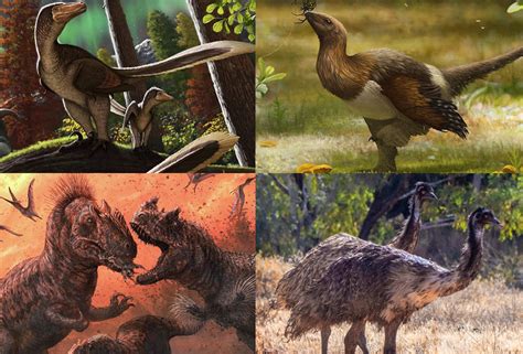 Are Birds Related To Dinosaurs Online Field Guide