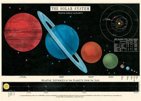 Celestial Chart Poster - Cartolina