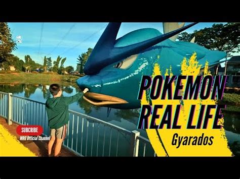 Pokemon In Real Life Gyarados Youtube