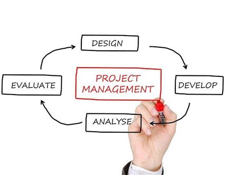 ⇨ Project Manager ¿qué Es Y Cuáles Son Sus Funciones