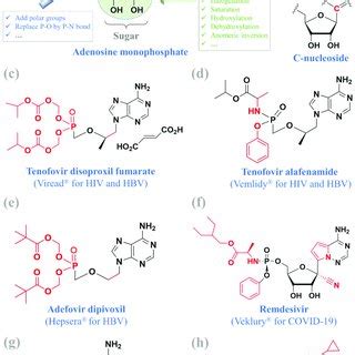 Adenosine monophosphate (a), N-nucleoside and C-nucleoside (b), and six ...