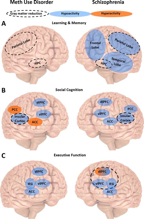 Meth Effects On The Brain