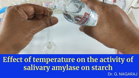 Effect Of Temperature On The Activity Of Salivary Amylase On Starch