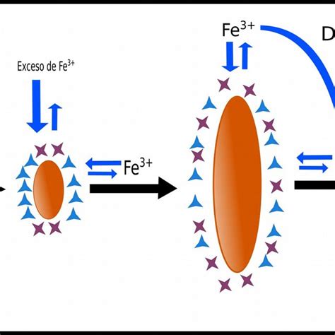 Mecanismo de formación de nanotubos de hematita por el método