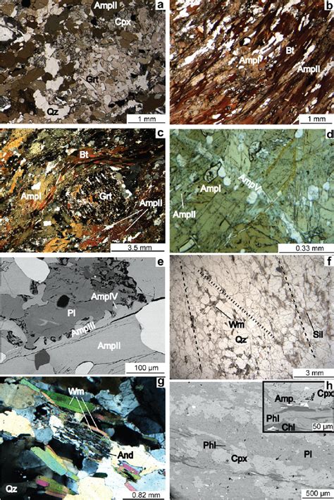 Microstructures In Metabasites Quartzites And Calcsilicate Rocks