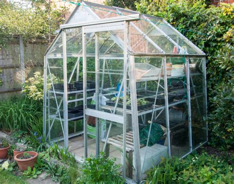 Greenhouse Gardening Basics - Greenhouse-Guide