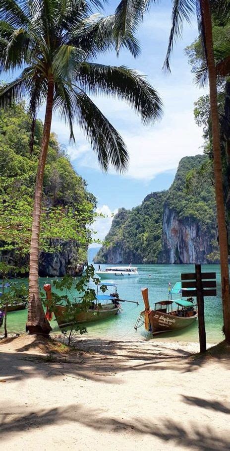 18 Best Things To Do Phi Phi Island Thailand In 2022 Artofit