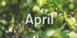 20 Awesome Facts About April - The Fact Site 