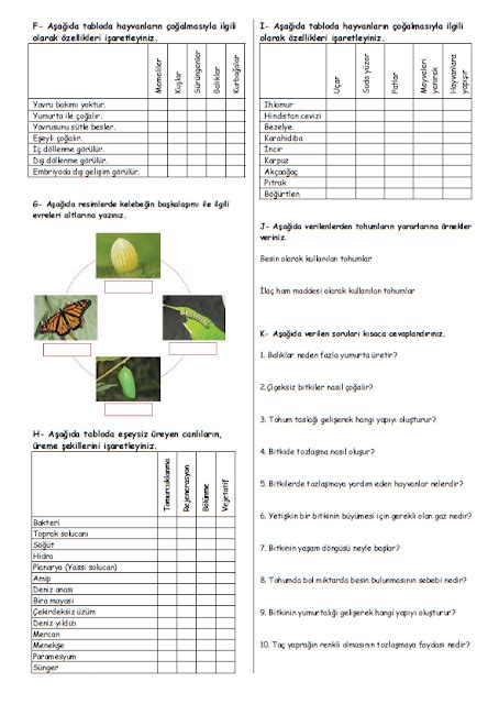 7 Sınıf Bitki ve Hayvanlarda Üreme Büyüme ve Gelişme Çalışma Kağıdı