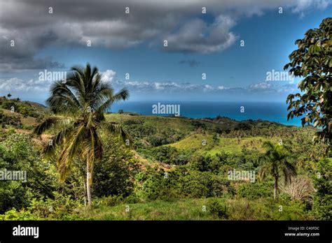 Landscape Of Las Terrenas Samana Peninsula Dominican Republic Stock