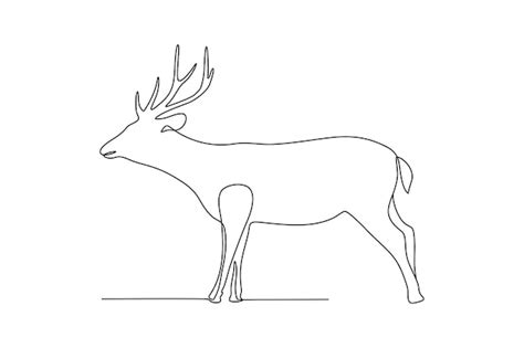 Premium Vector Deer Continuous Line Art Drawing