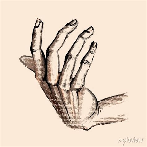 Hand drawn pencil sketch of hand gesture. beautiful vector drawing ...