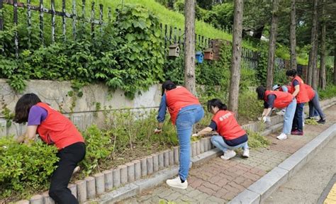 수원시 장안구 조원2동 여름 행락철 대비 일제 대청소 나서뉴스쉐어 Newsshare 시대를 이끄는 새로운 정론