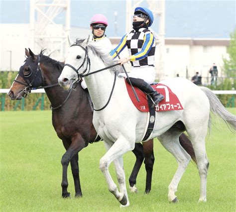 【読売マイラーズc】初マイルのガイアフォースが2着健闘 西村淳也騎手｢操縦性にあふれた馬だと思います｣ Umatoku 馬トク