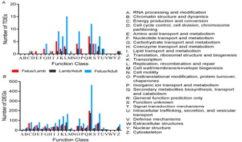 Lncrnas