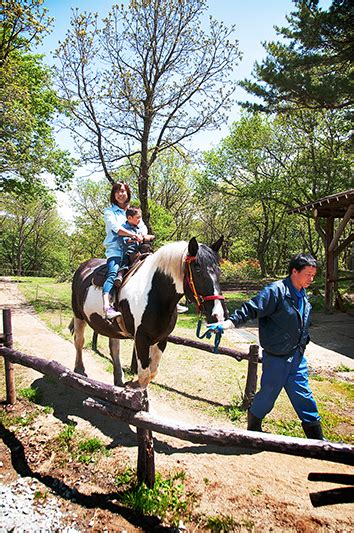 磐梯高原 南ヶ丘牧場 Tロケ